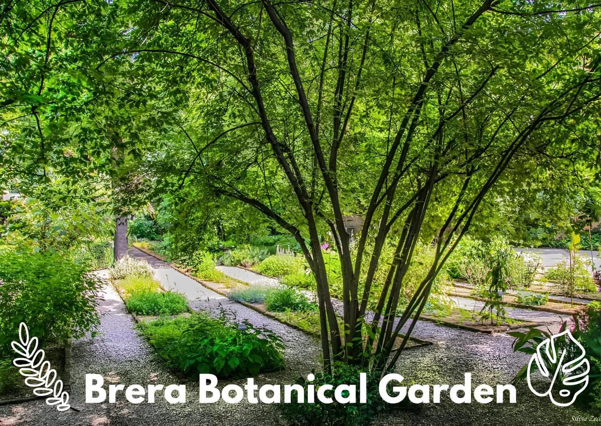 Brera Vip Spotlight - Brera - Duomo - Castello Sforzesco - Lanza Metro M2 Apartment Milan Luaran gambar
